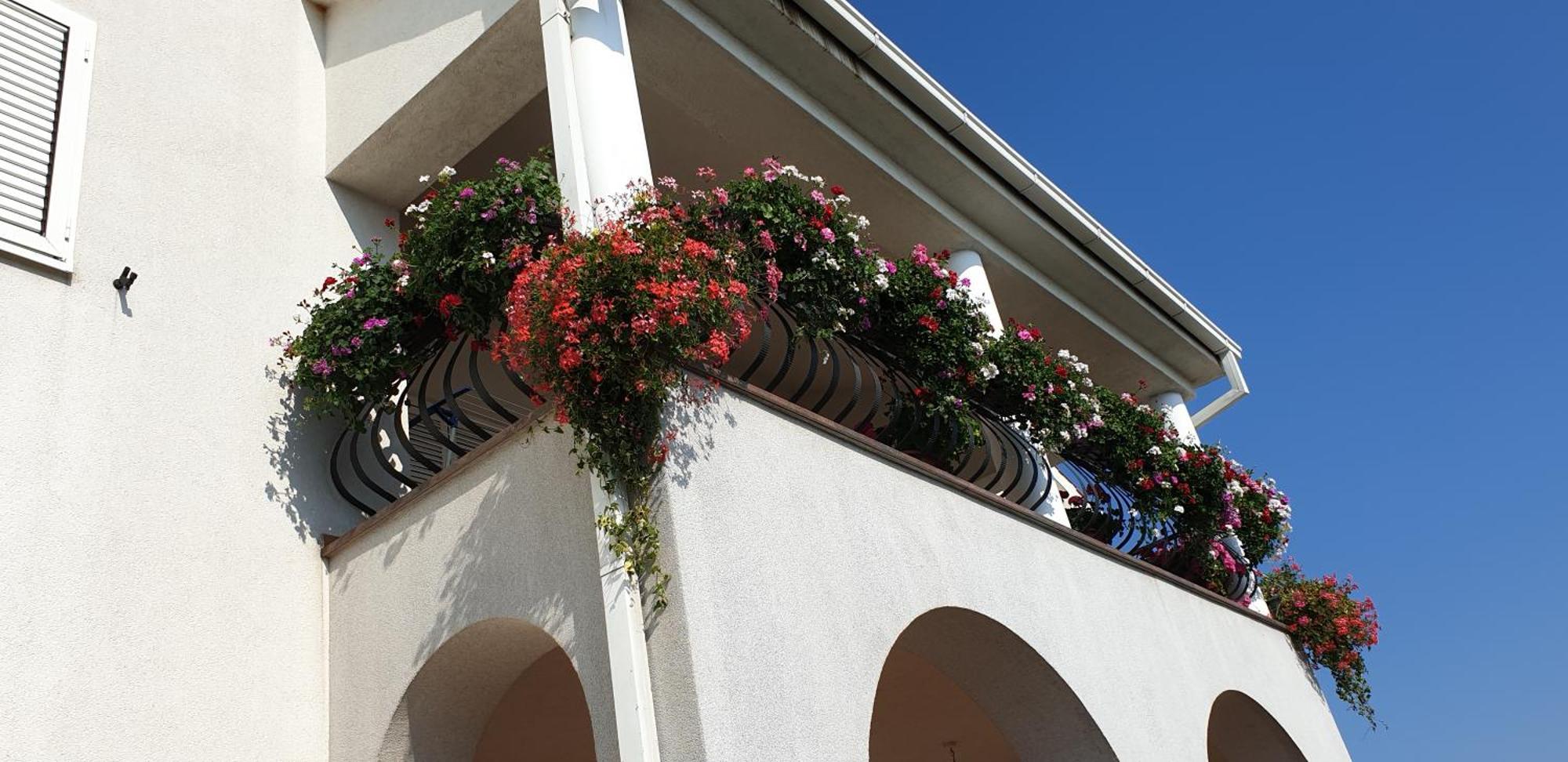 Ferienwohnung Eko Eko Rijeka Exterior foto